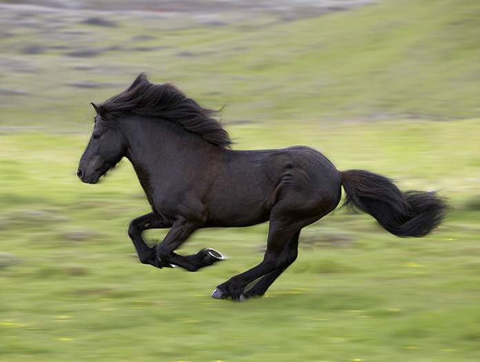 nouvelle rencontre nouvelle frontiere