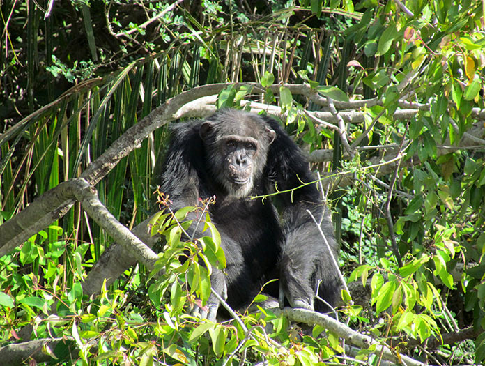 agence rencontres select