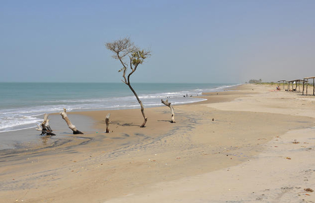 Circuit La baie du Saloum, forêt de l'Océan - Nouveau !