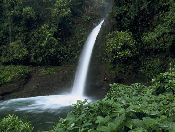 agence rencontre costa rica