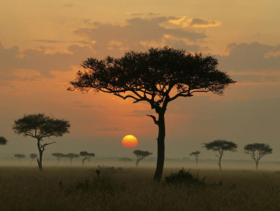Circuit Le Kenya en famille