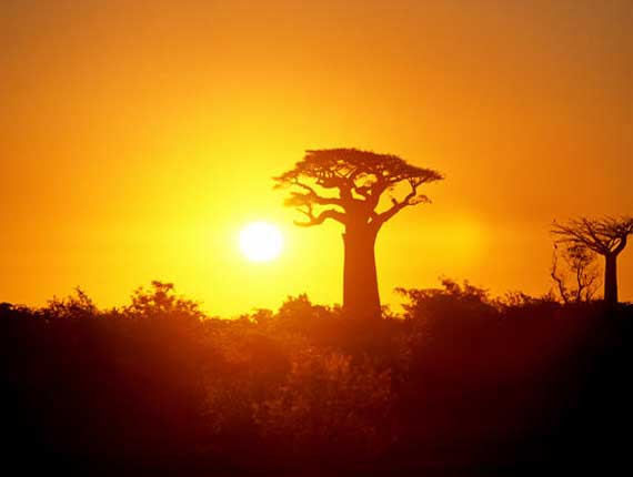 Agence de rencontre à madagascar