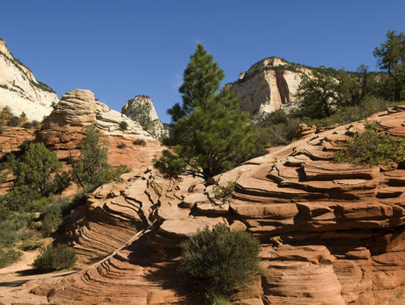 Circuit Californie et parcs l�gendaires